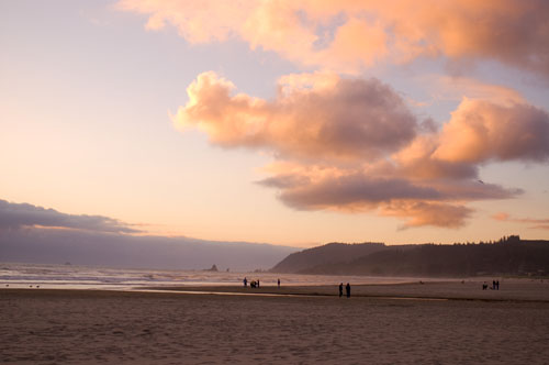 Farmer S Market And Canon Beach
